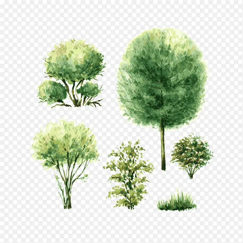 ˮ����-������