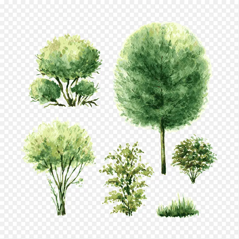 ˮ����-������