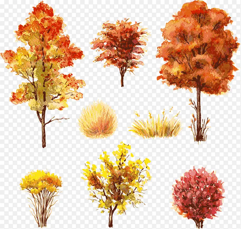 ˮ����-������