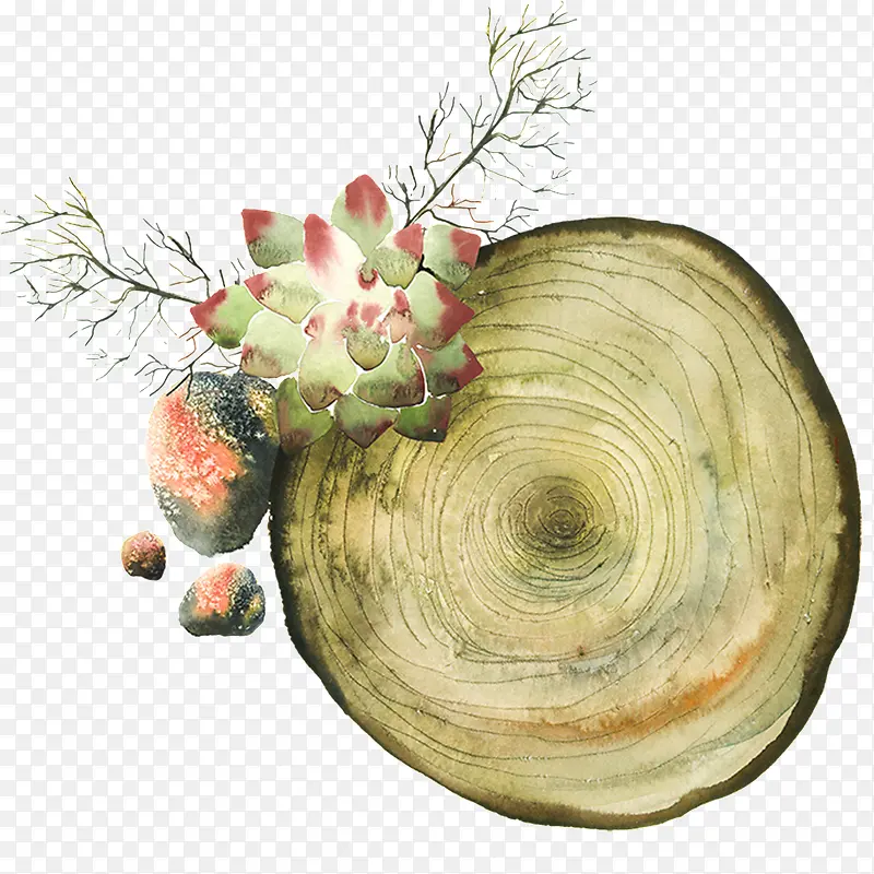 ˮ��ľ׮-������