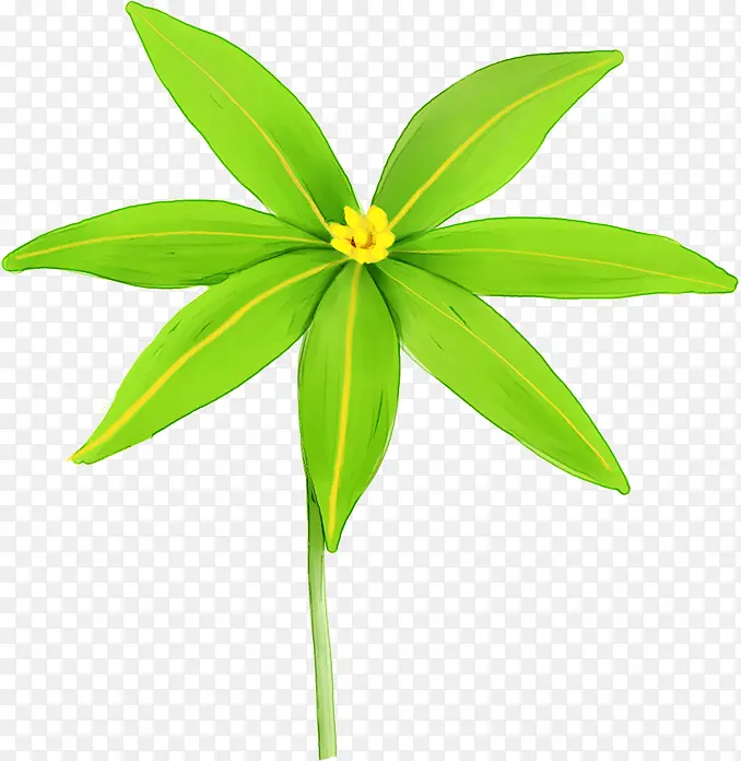 �ֻ�ˮ��ֲ��С��-������