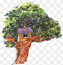 ��ӰЧ��ˮ�ʺϳ�ֲ��Ч��-������