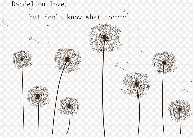 ��ͨ�ֻ��ѹ�Ӣ-������