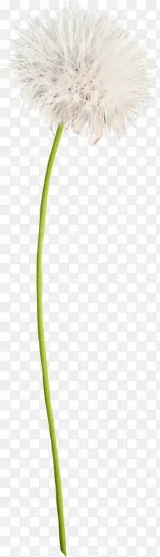 �ѹ�Ӣpng�ز�-������