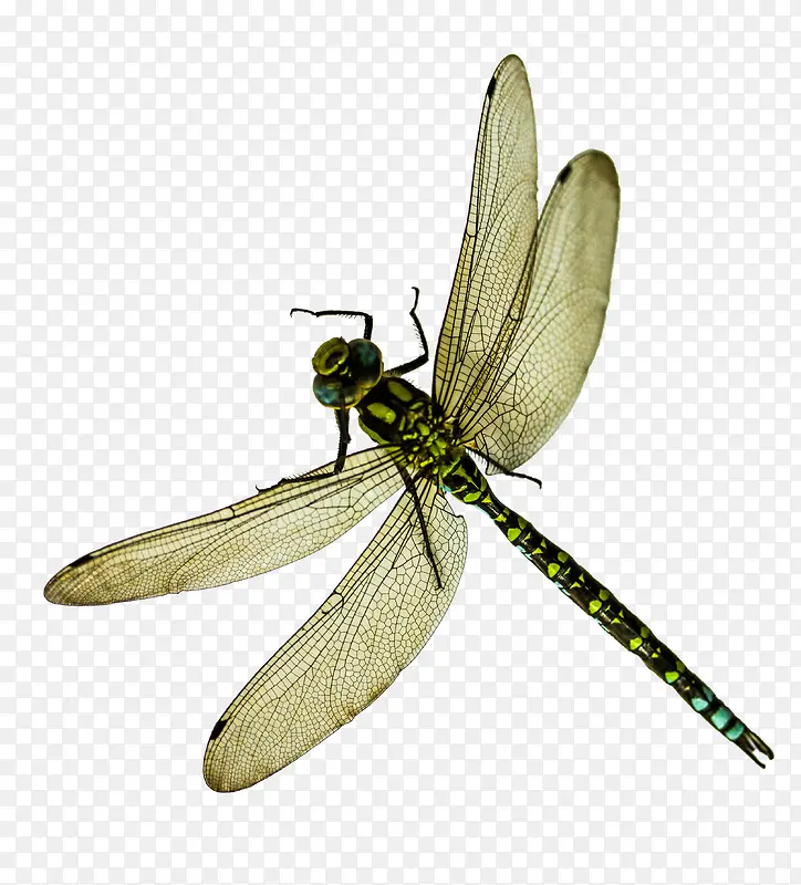 ����-������