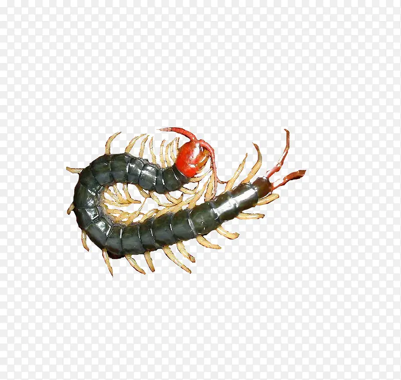 ���-������