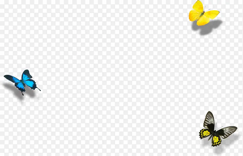 ����-������