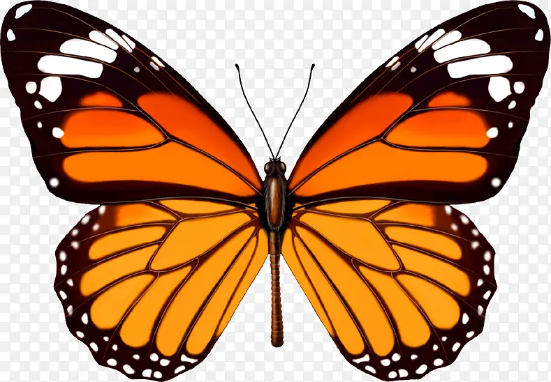 �ɰ�����-������