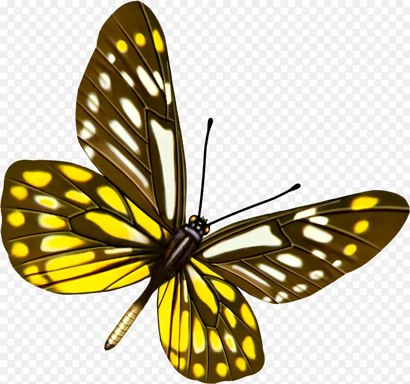 �ɰ�����-������