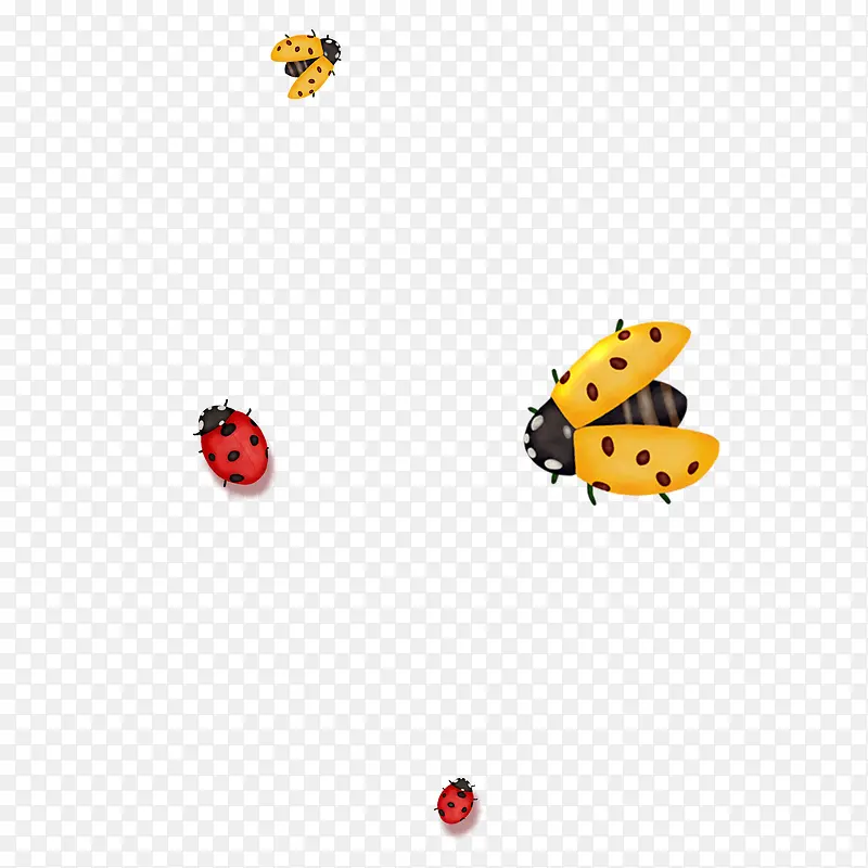 ư��-������