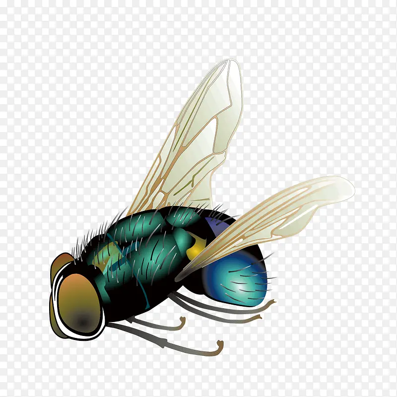 ��Ӭ-������