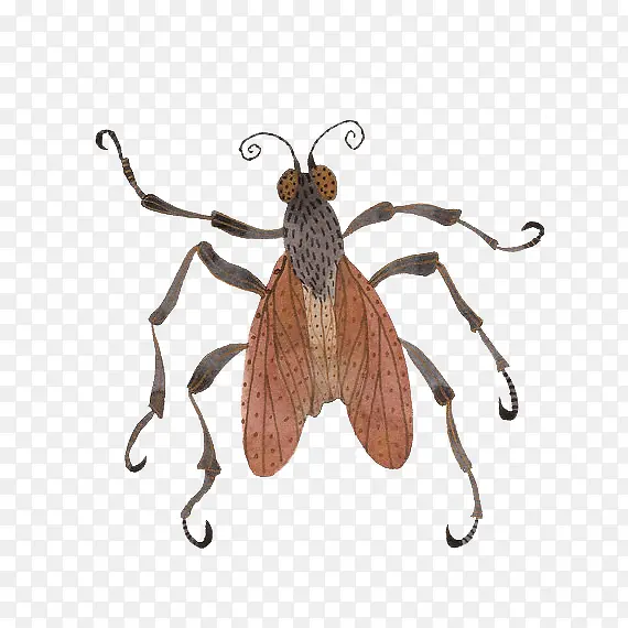 ��ͨ��Ӭ�걾-������