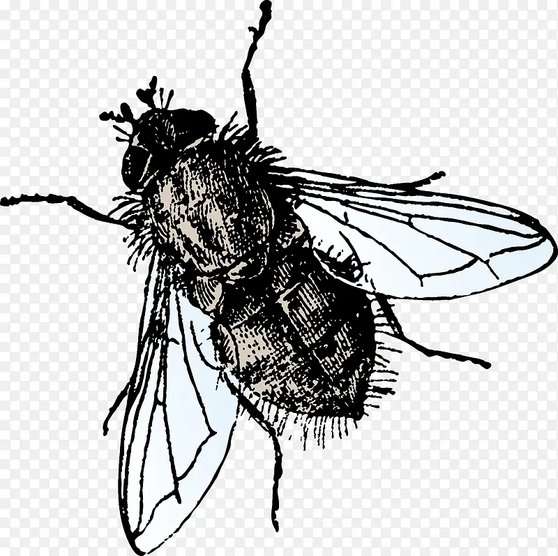 ��Ӭ-������