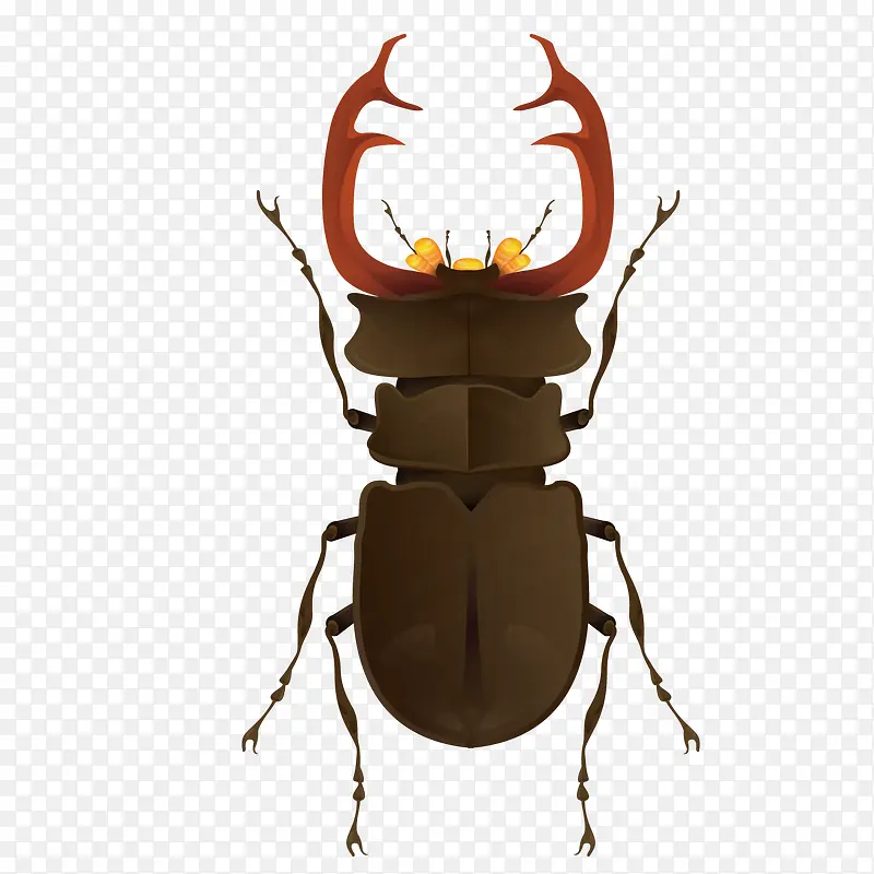 ʸ���׿ǳ�-������