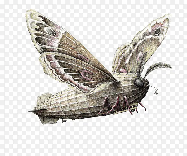 ��ͨ�ֻ�дʵ����ɳ�ͼ��-������