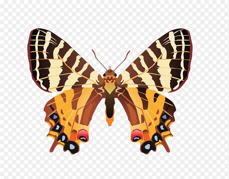 ����-������