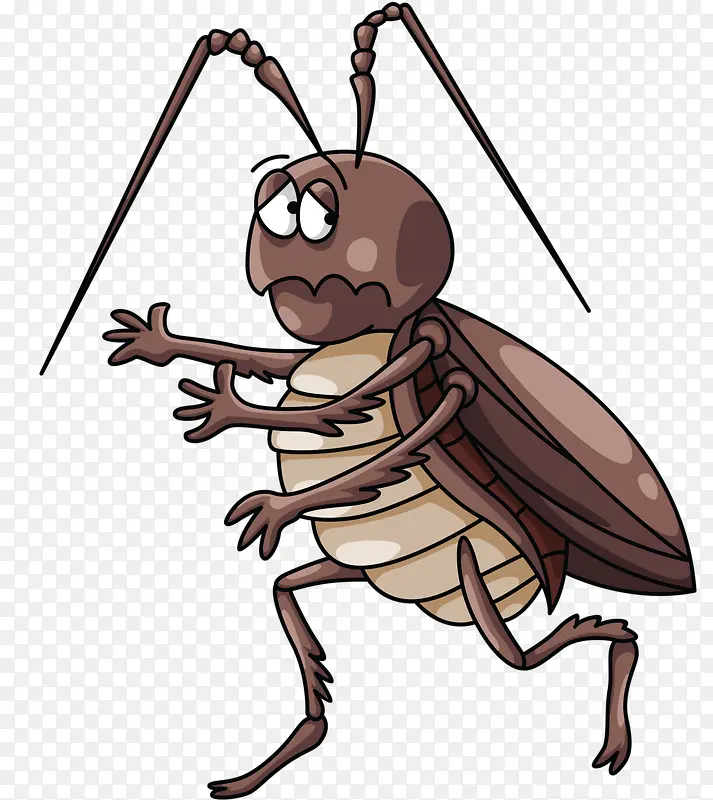 ��ɫ����-������