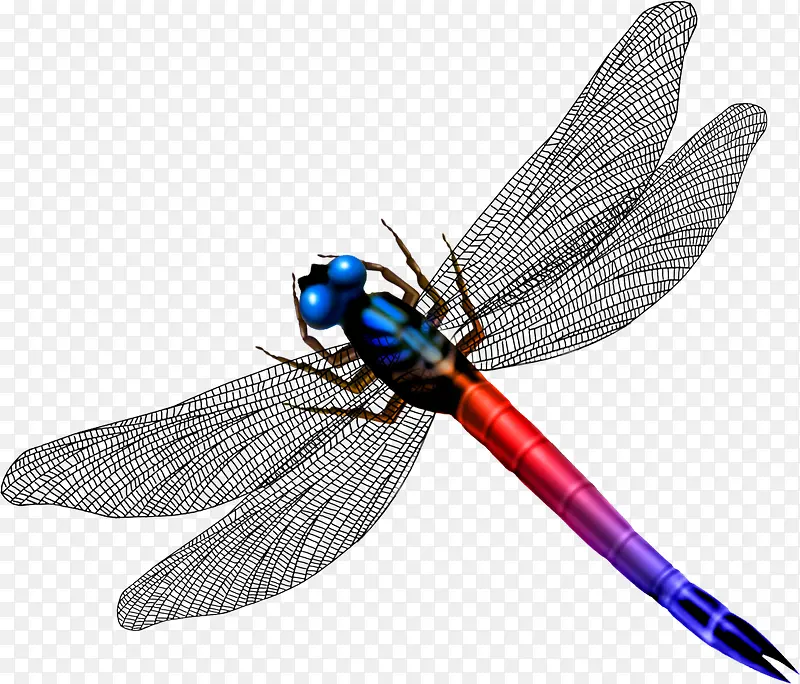 ����-������