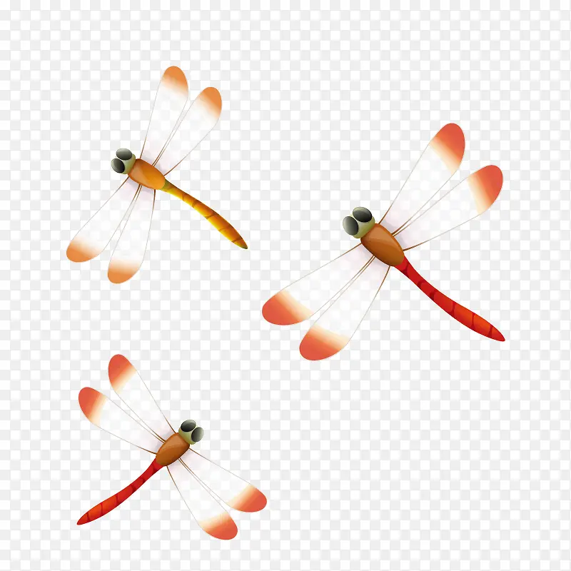 ��ɫ����-������