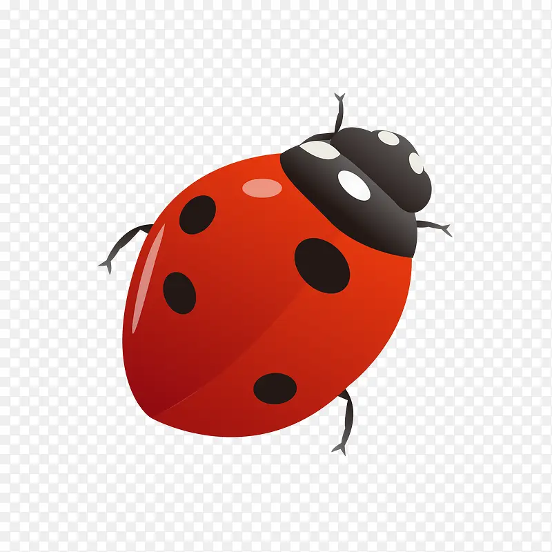 �����-������