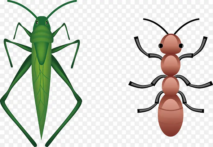 ʸ���ֻ�����-������