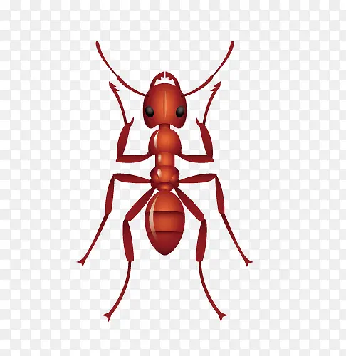 ����ʸ���ز�-������