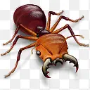 ����-������