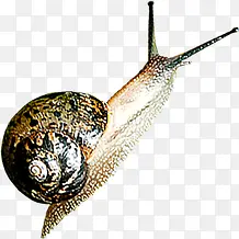 ���ո�����ţ����-������