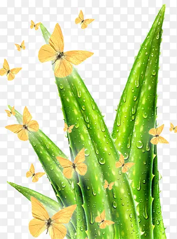 «��������-������