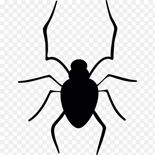 ֩��ͼ��-������