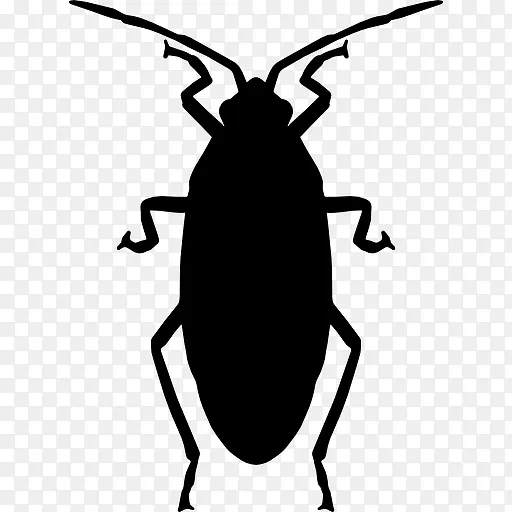 Roach ͼ��-������