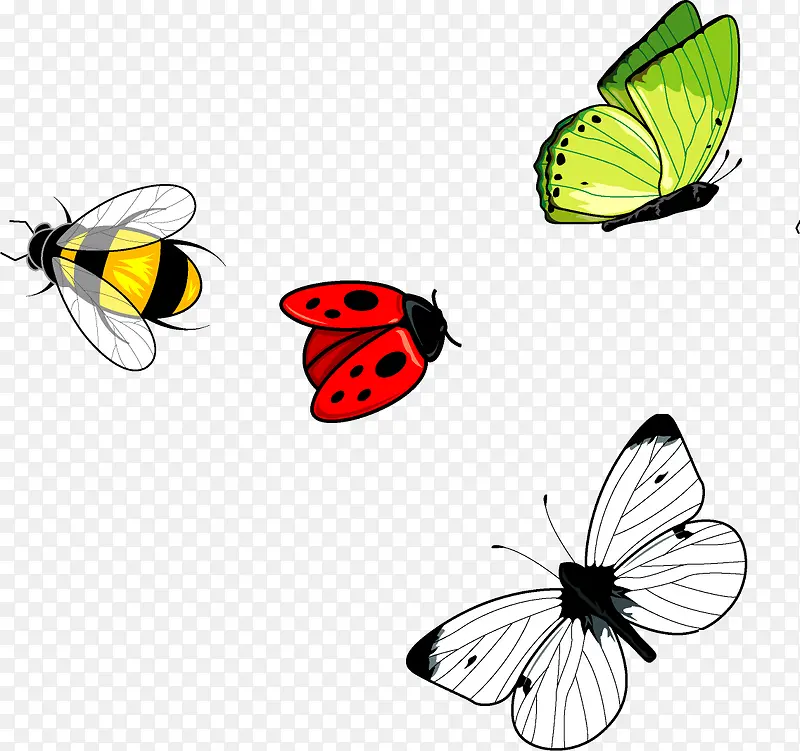 �ֻ�����װ���ز�-������