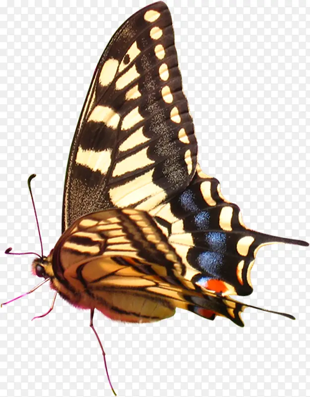 ���������������-������