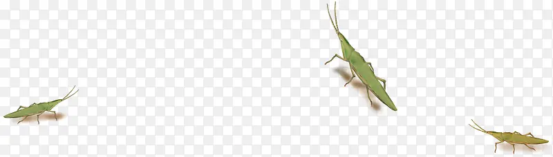 ׯ�������������-������