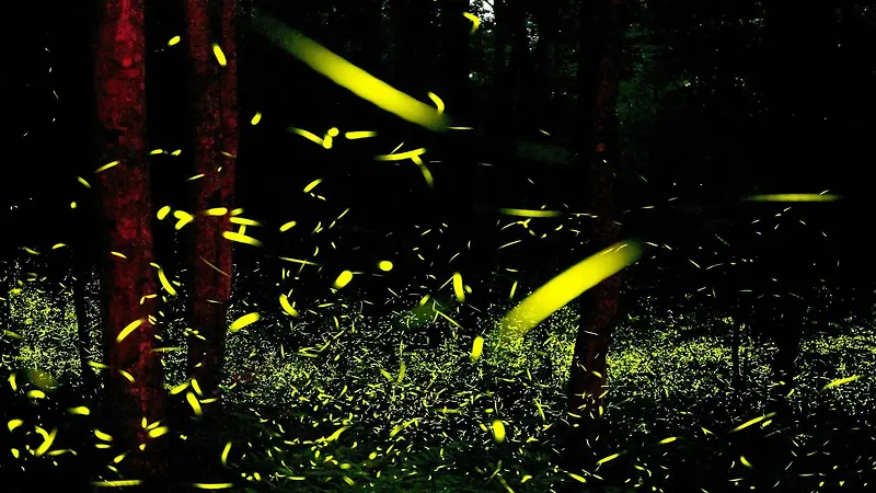 ��ҹҹ��ө�������-������