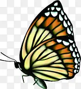 ʱ�вʻ��������-������