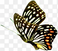 Ψ��ʱ�з������-������