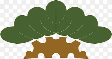 �廭��-������