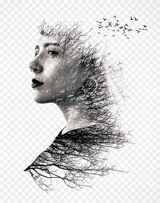 ��֦��Ů����廭-������