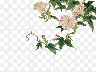 �й���ۻ���Ҷ�廭-������