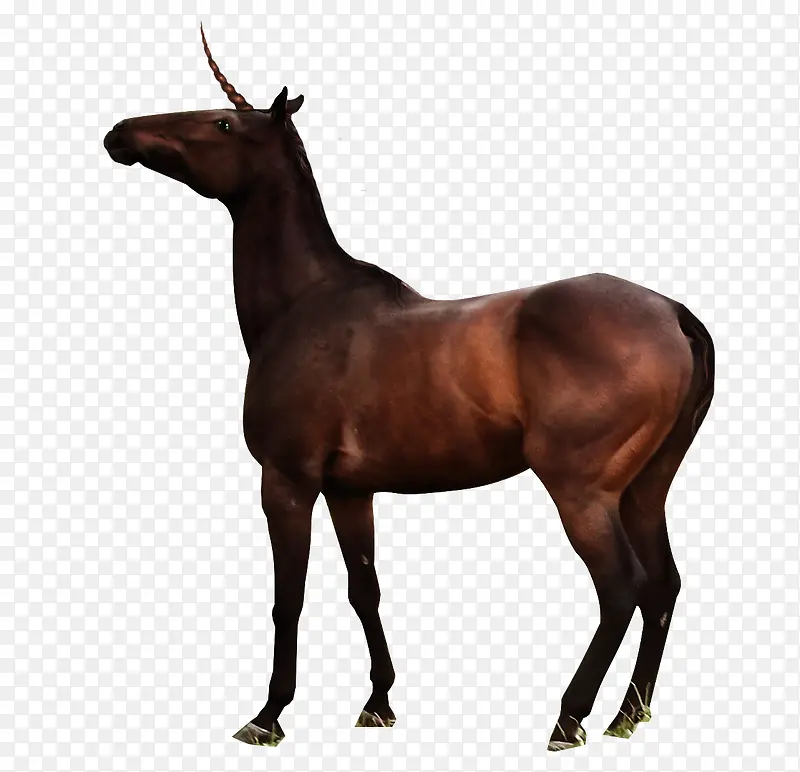 ��ͼƬ�ֻ��ز�-������