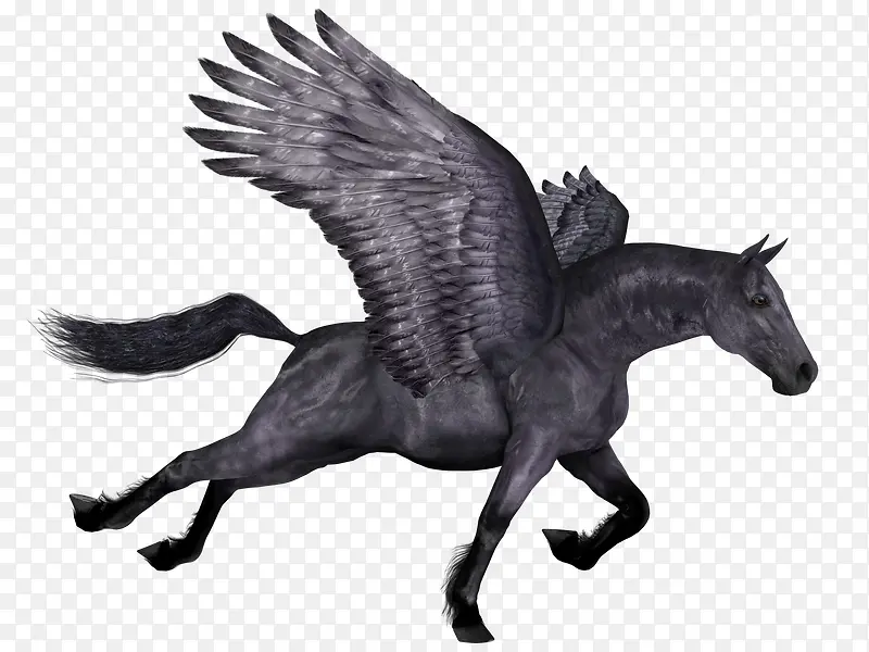 ����Ӱ�ֻ����ز�-������