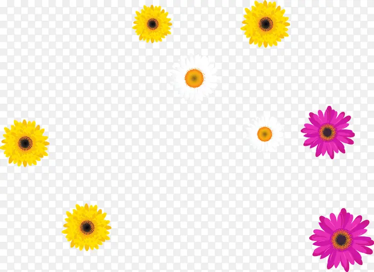 ��ɫΨ����������-������