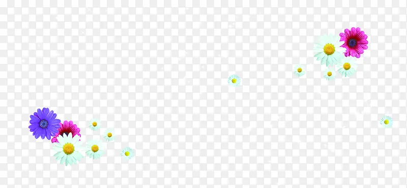 ��ɫΨ����������-������