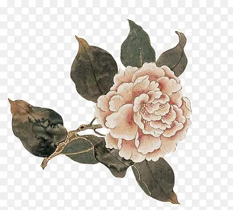 Ψ����Լ���⻨��-������