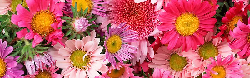 Ψ�����滨���زĴ���Ȼ�ز�-������