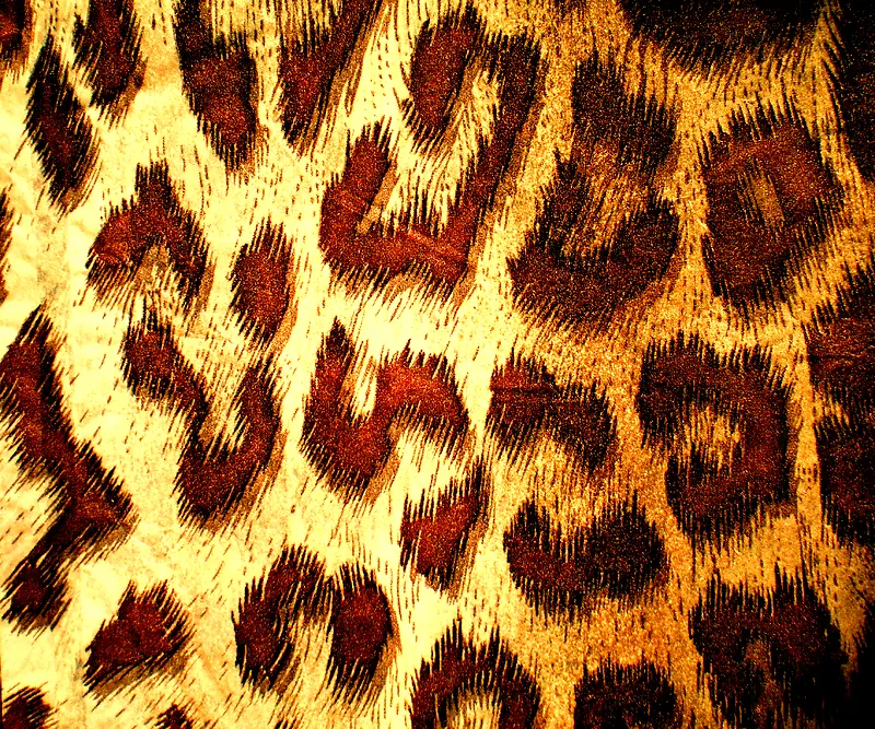 ʱ�б��Ʊ���-������