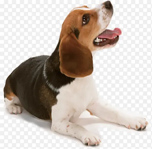 ������Ӱ��������͹�-������