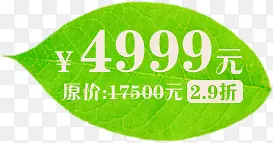 �ؼ۴�����Ҷ��ǩ-������