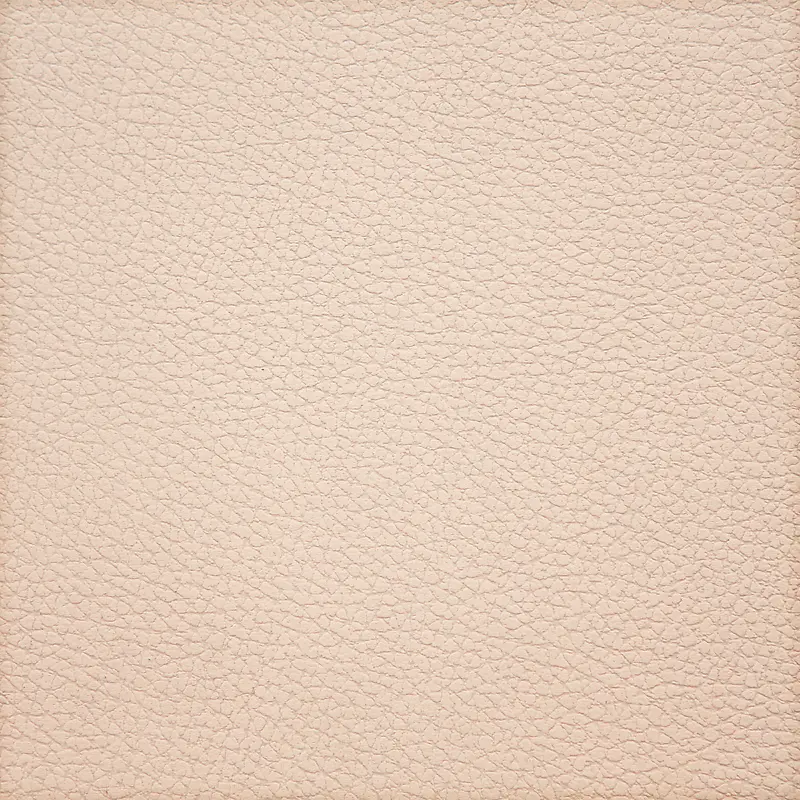 ��ɫƤ�ﱳ��-������